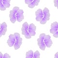 Seamless wild floral pattern with nasturtium. Pink hibiscus flowers on white background. Botanical Motifs scattered random. Royalty Free Stock Photo